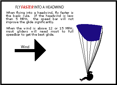 speedtofly1 speedtofly1