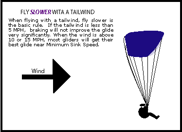 speedtofly3_tailwind speedtofly3_tailwind